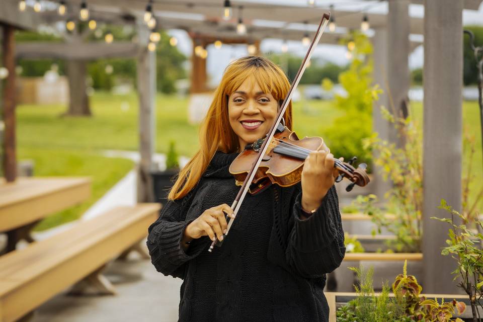 Violin