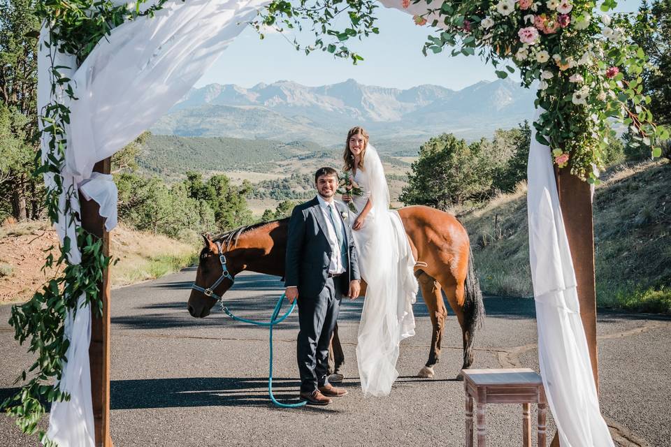 A wedding and a horse
