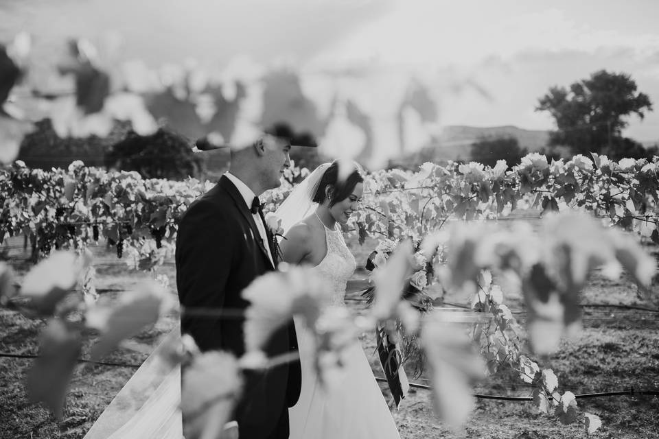 Vineyard wedding