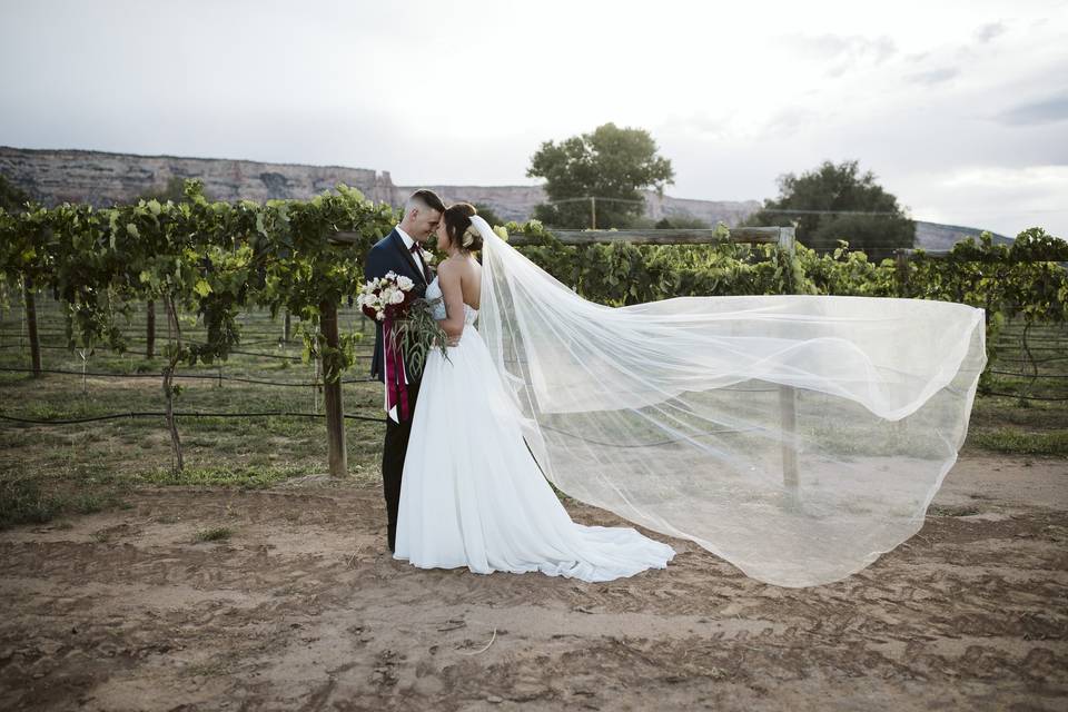 Vineyard wedding