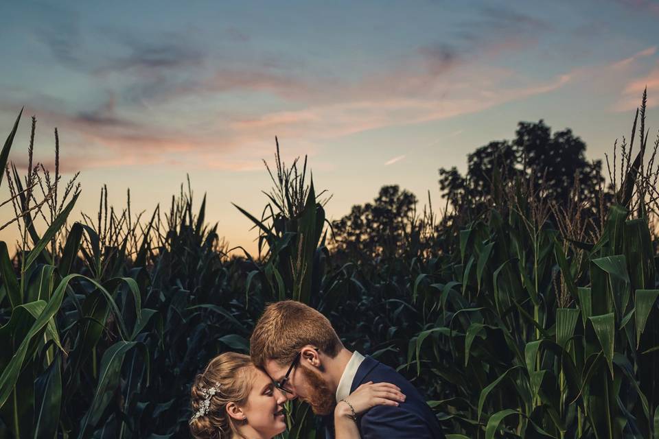 Corn Field\Barn Wedding