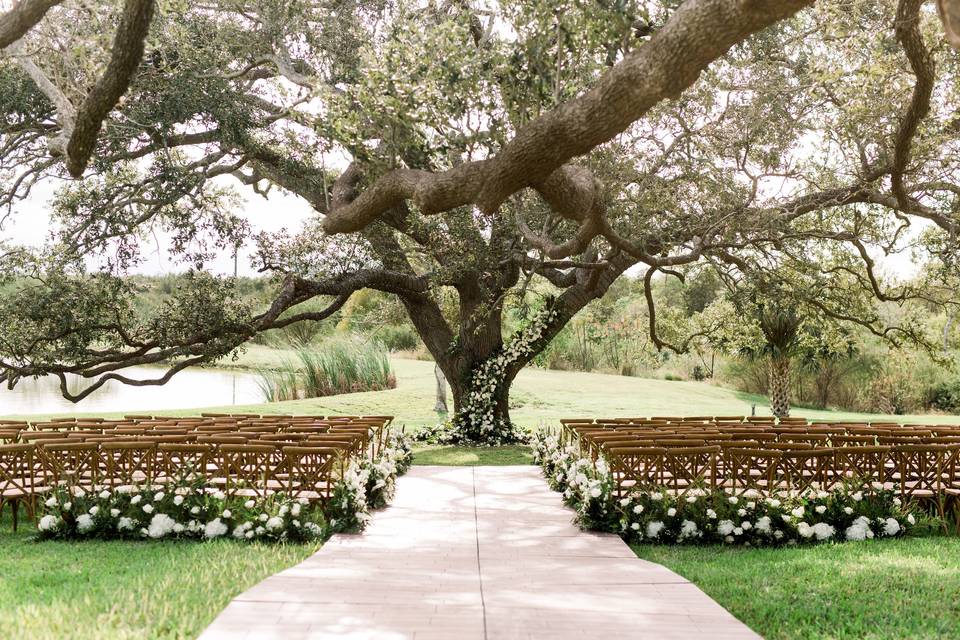 Savannah + Daniel