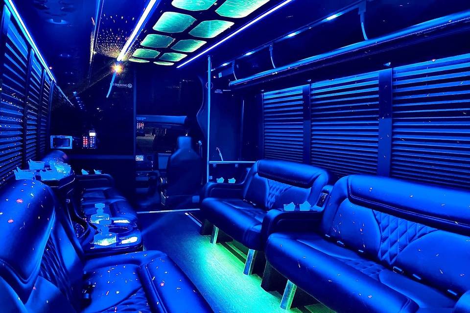 20 Passenger Luxury LimoBus