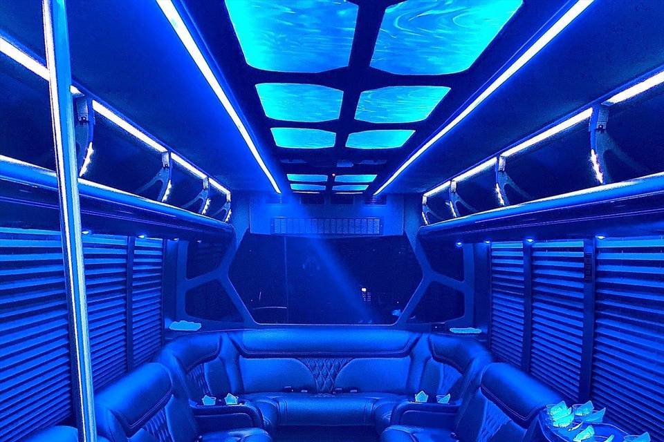 20 Passenger Luxury LimoBus