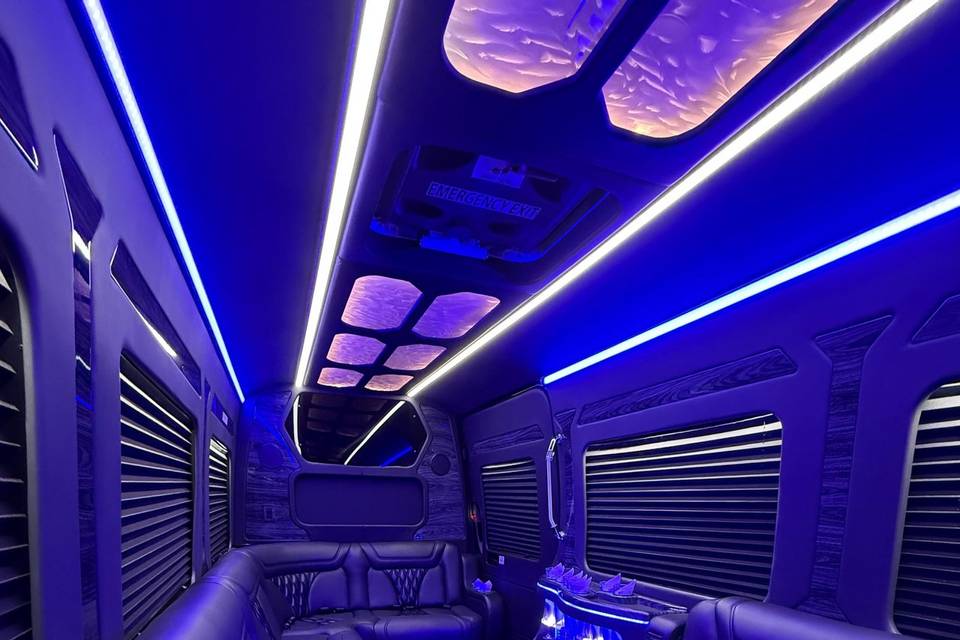14 Pass. LimoBus