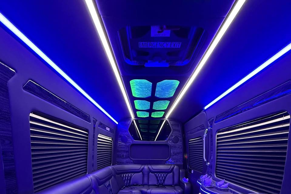14 Pass. LimoBus