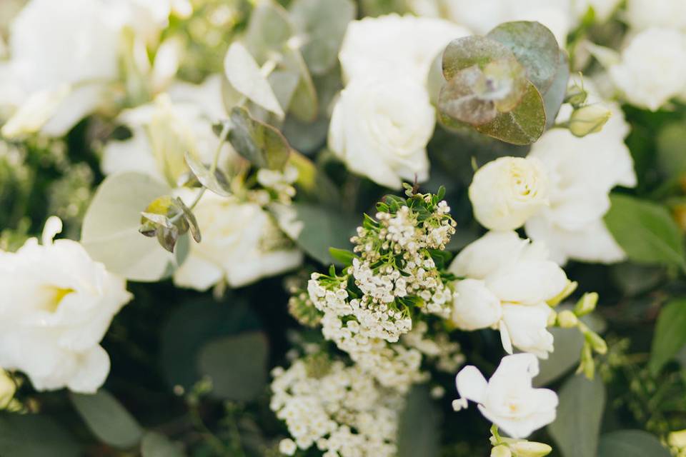 Little white flowers