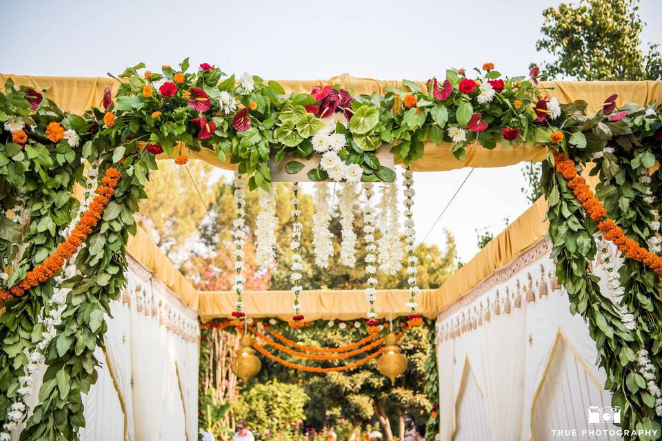 Yellow wedding arch