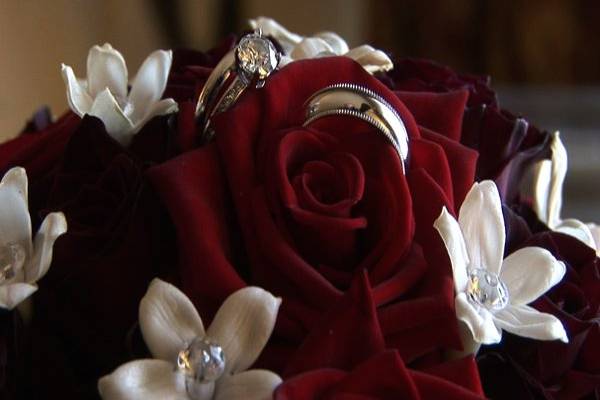 Timeless Image Productions