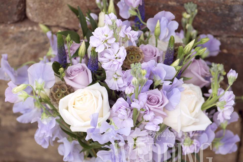 Lavender flowers