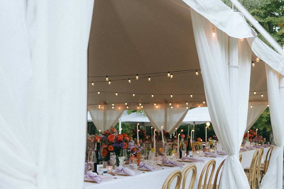 Reception Details