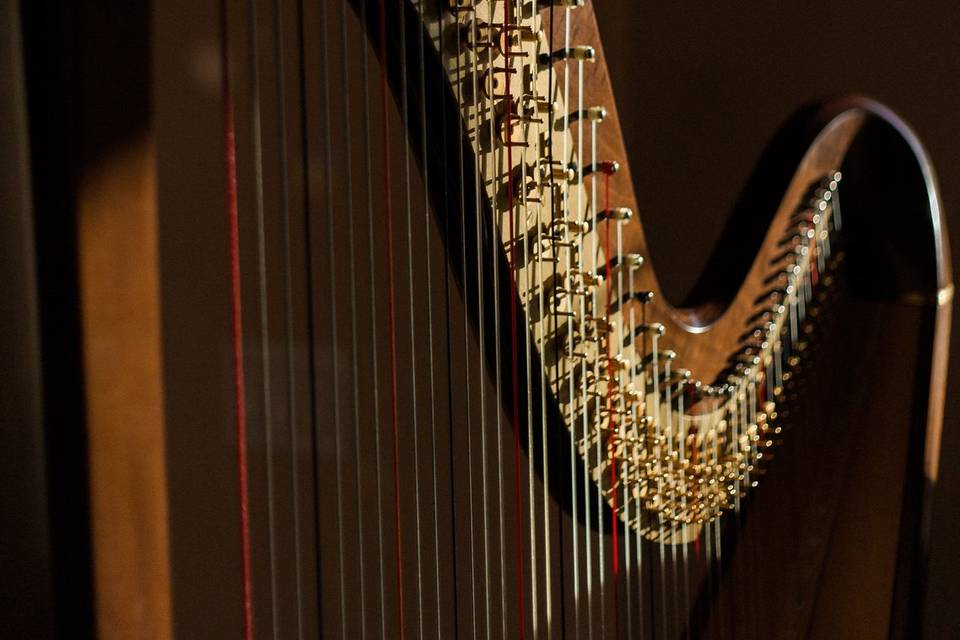 Stunning harp
