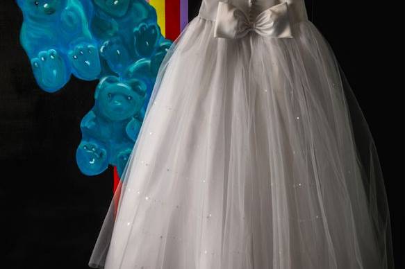 Photo of the wedding dress
