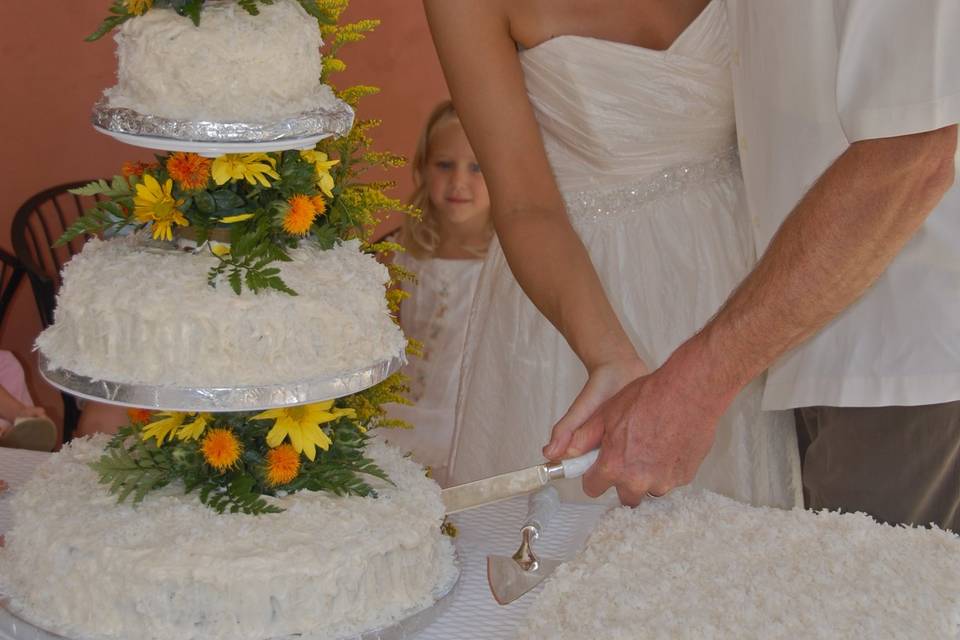 Cutting the cake