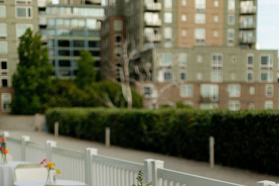 Olympic Sculpture Park