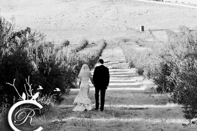 Carrie Richards Photography
