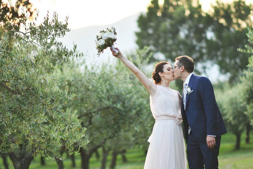 Wedding among olive trees @inc