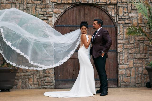 Epic veil shot