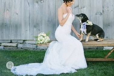 Bridal portrait