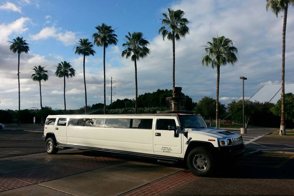 In The Scene Limousine & Partybus