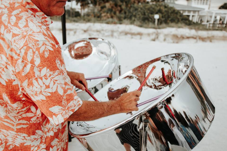 Steel Drum Band St Petersburg Florida, Steel Drum Players