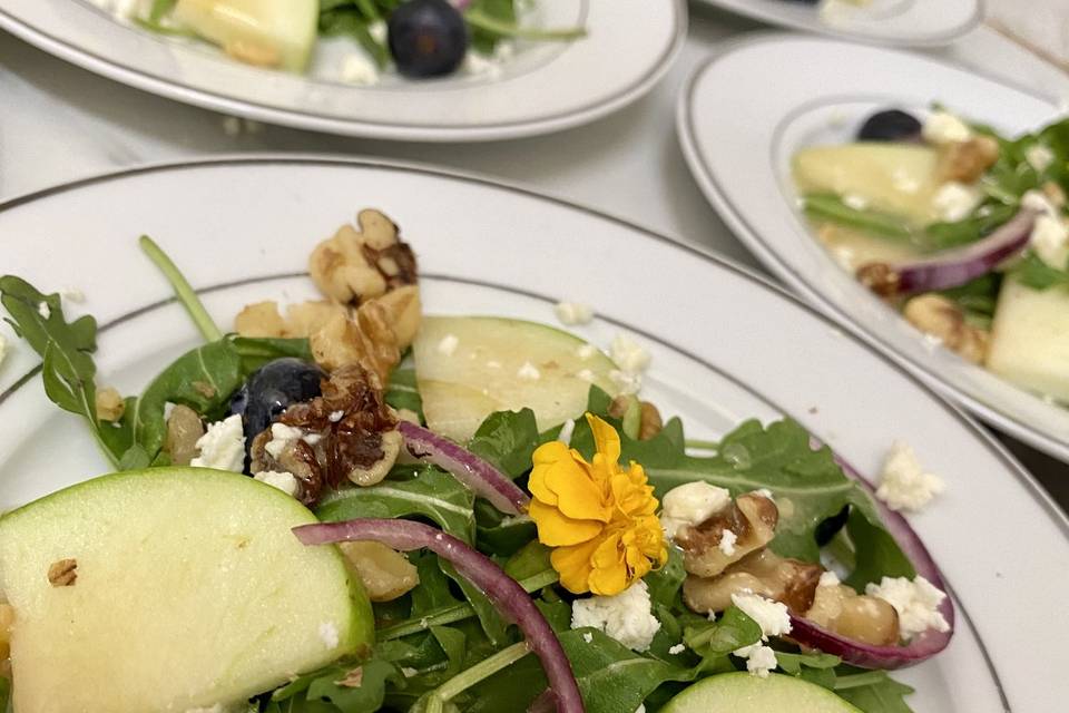 Salad Plated