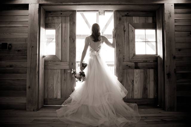 Amy Tucker Photography