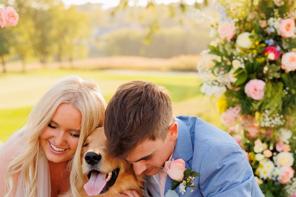 Dog Friendly for Pictures