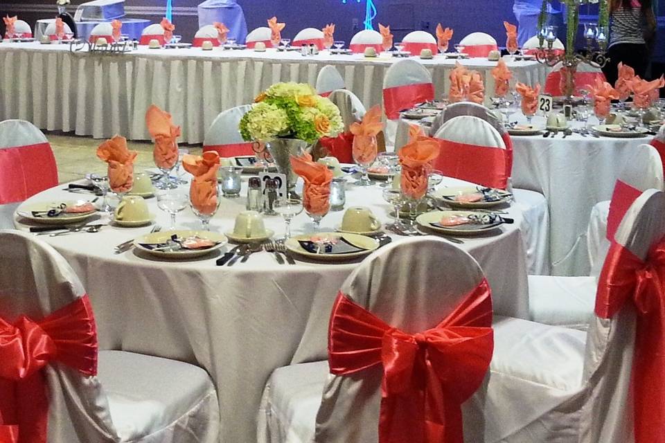 Table Settings - our low centerpieces, linens, chair decor