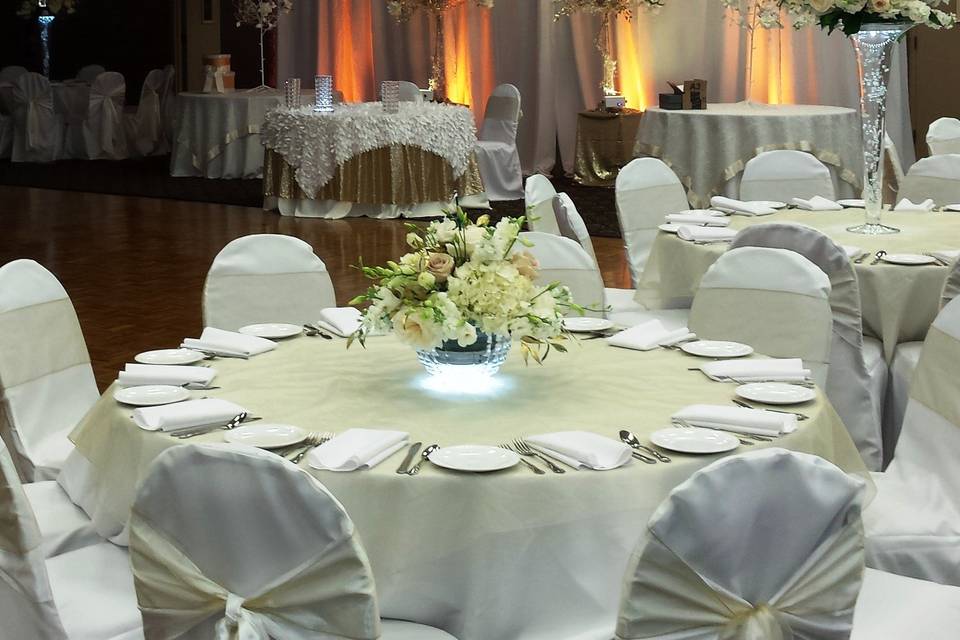 Table Settings - our linens, chair decor