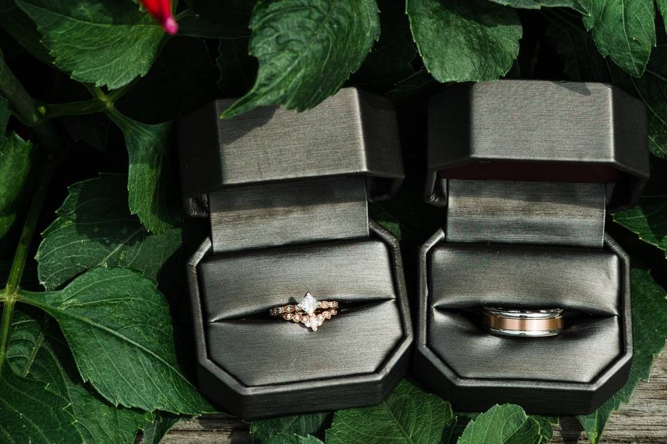 Stunning wedding rings