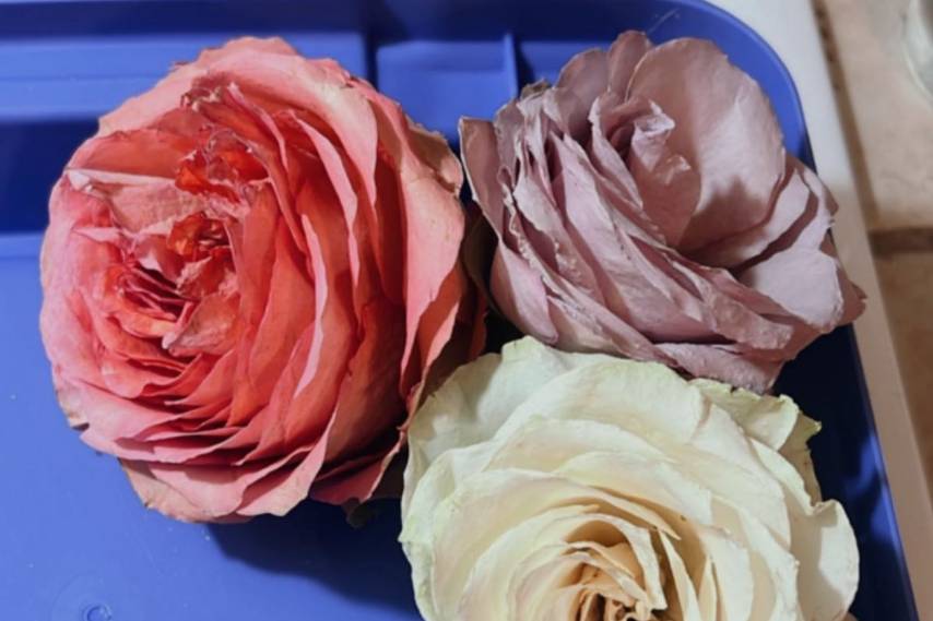 Dried roses for a floral block