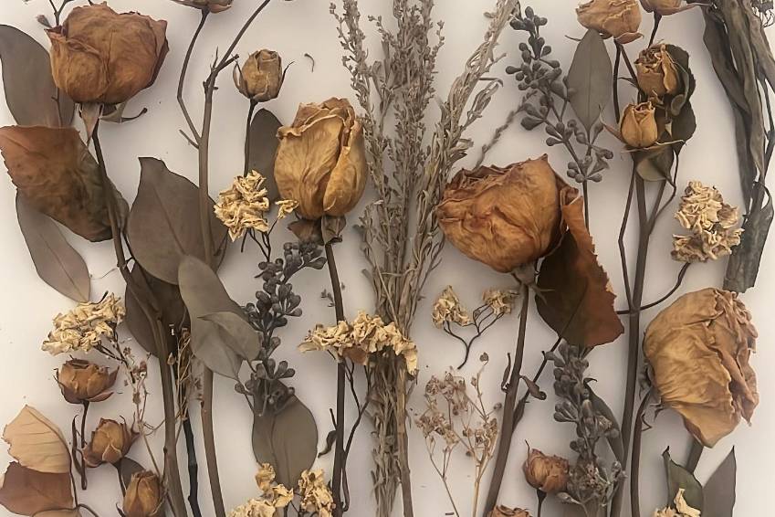 Dried Flower Shadowbox Design