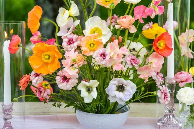 Ranunculus & Poppies, June