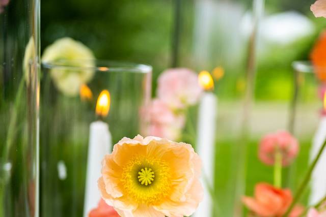 Spring Bud Vases
