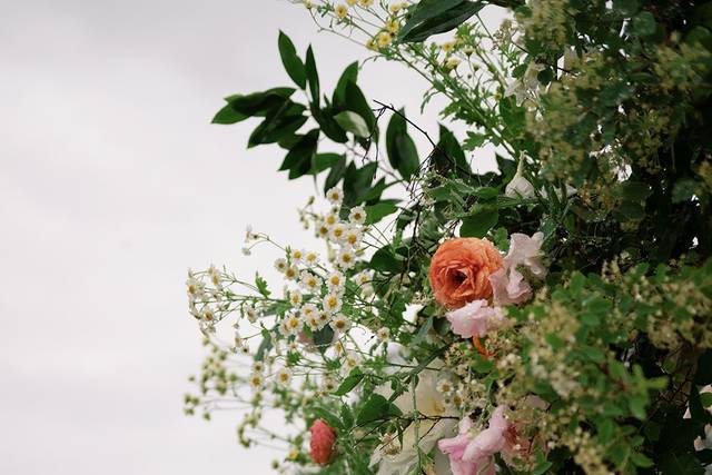 Lush Arbor Detailing