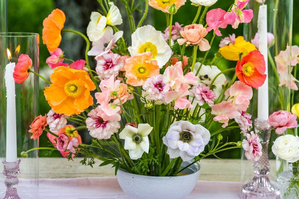 June Wildflower