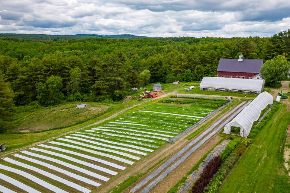 Eastern River Farm in June