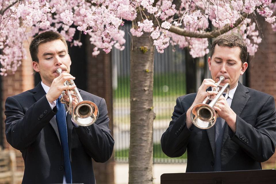 The musicians