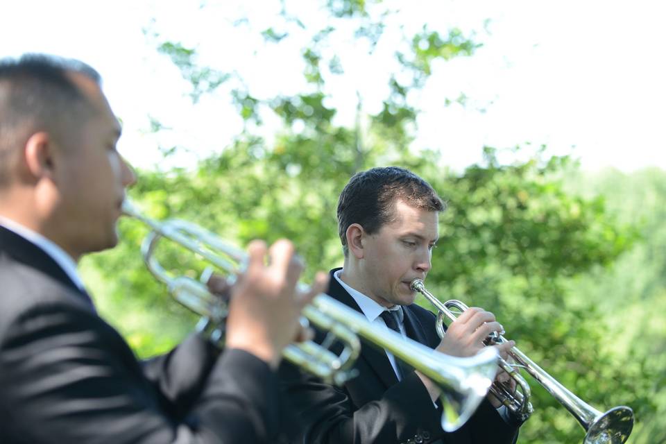 Trumpeters