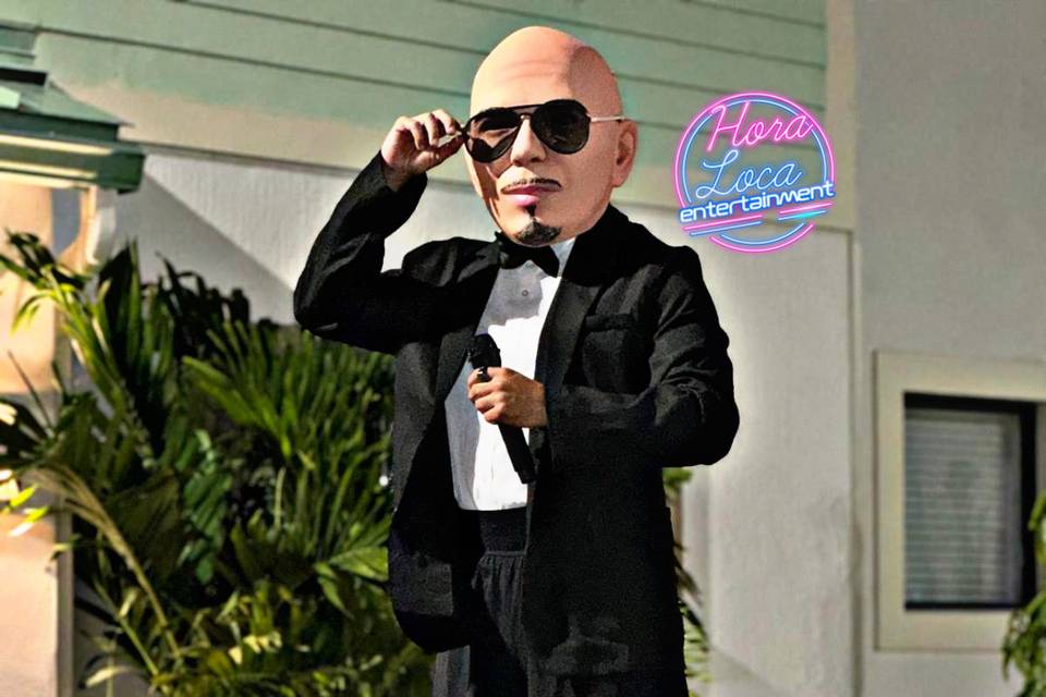 Pitbull in stilts