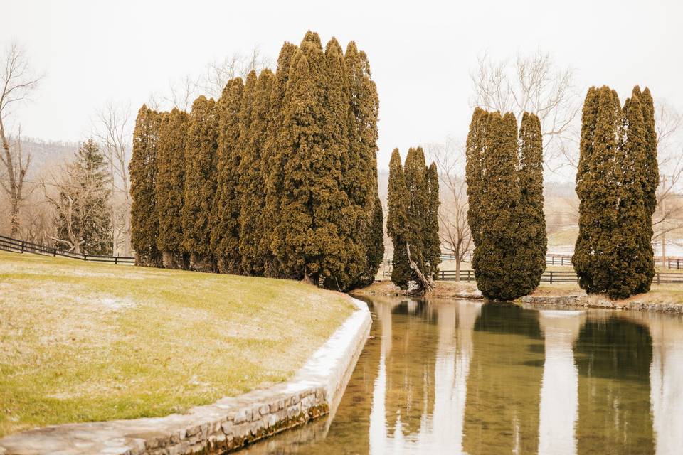 Pond and Terrace