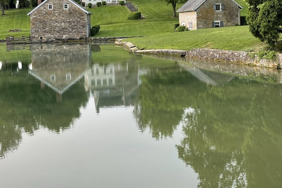 Pond View