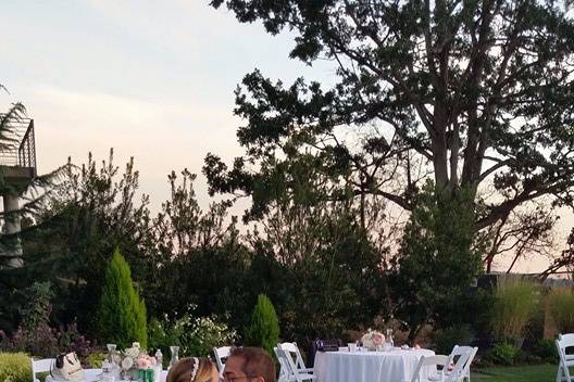 Bride and groom with smoke