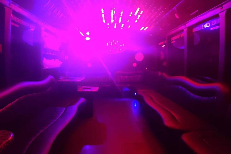 30 Passenger Party Bus