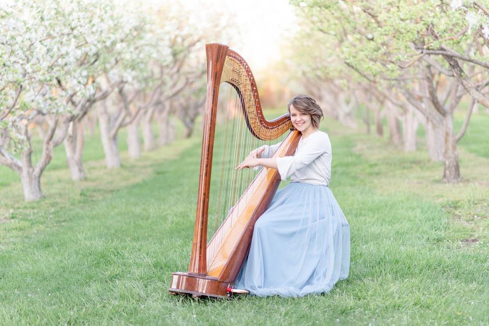 Jill The Harpist
