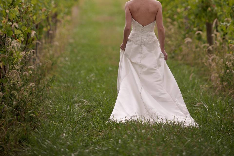 Bride & Groom in Vineyard