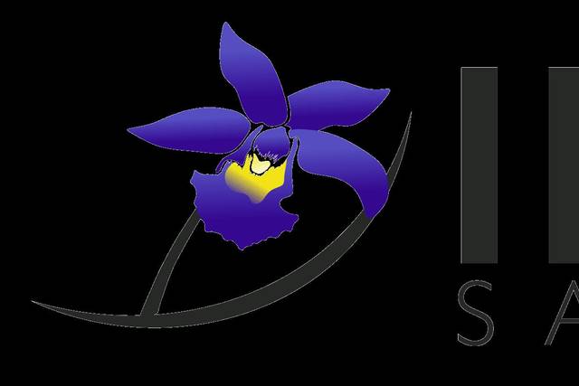 Iris Salon, Inc.