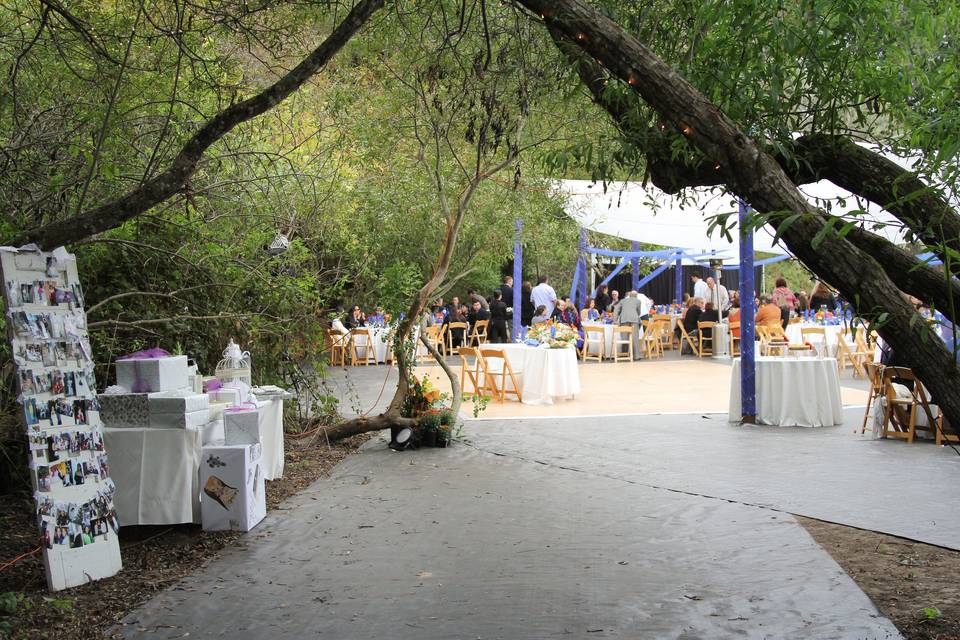 Secluded forest weddings