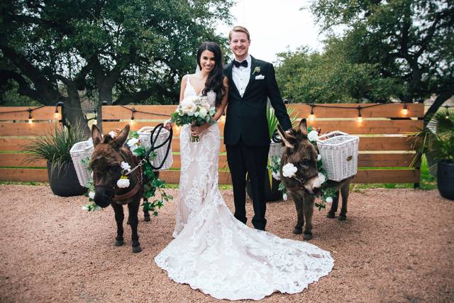 Rosy and Shaun Wedding Photogr